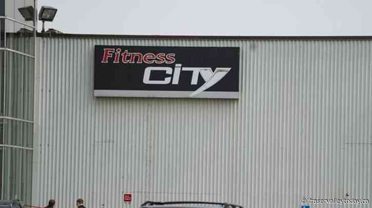 Daytime killing of 53-year-old man linked to Montreal Mafia: source