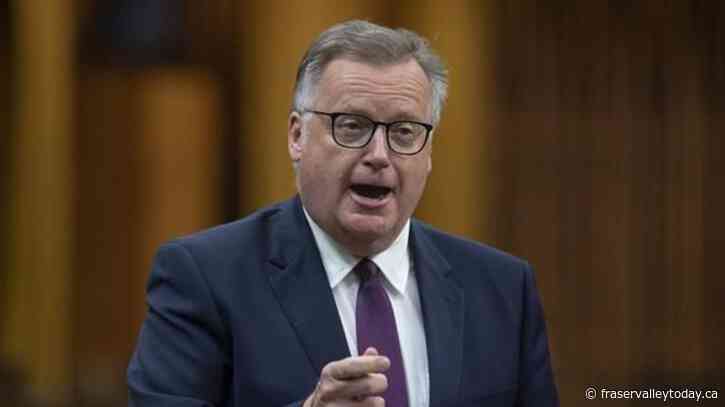 Swimming Canada questioned in Ottawa safe-sport hearing about CEO’s departure