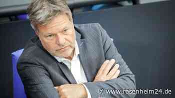 Diskussion über neue Holzheizungen: Habeck kompromissbereit