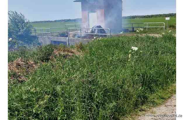 FFW Schiffdorf: Feuerwehr verhindert Ausbreitung - trockene Vegetation macht sich bemerkbar