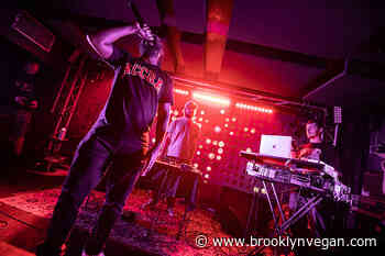 billy woods & Kenny Segal played Baby's All Right (pics, setlist)