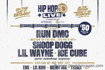 Run-DMC, Lil Wayne, Snoop Dogg, Ice Cube, Eve, more playing "Hip Hop 50 Live at Yankee Stadium"