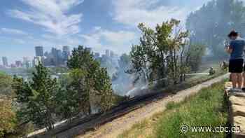 Grass fire north of downtown Calgary contained, prevented from reaching homes