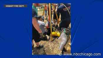 Contractor airlifted after falling into manhole at Northwest Indiana park