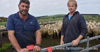 Producers accuse Livestock SA of not standing up to govt on sheep eID mandate