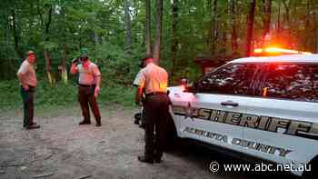 Pilot of plane that flew over Washington DC and crashed appeared slumped over, officials say