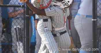 Softball: Mistakes cost Lake Park in supersectional setback