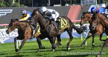 Hunter Valley staff honoured at HTBA Awards