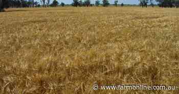 Boom time over as crop production set to return to normal