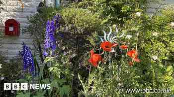 Get Into Nature: BBC urges people to celebrate the wild in June