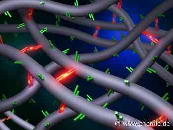 Entdeckung stellt 30 Jahre altes Dogma in der Forschung über assoziative Polymere in Frage