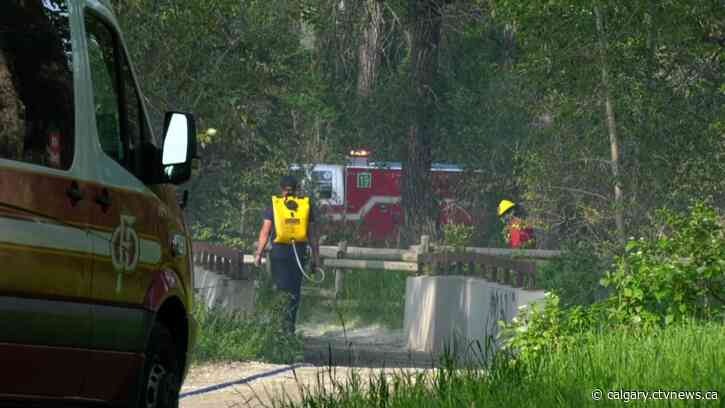 Grass, brush burn in evening blaze at Pearce Estate Park