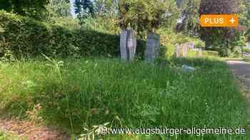 Stadt kommt nicht hinterher: Auf dem Neu-Ulmer Friedhof wuchert Unkraut