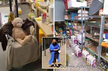 Teddy and wallpaper steamer among hygiene breaches at Didcot kitchen