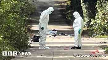 Colchester: Man 'stabbed flatmate and stole his Nissan Qashqai'