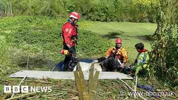 Horse stuck in canal water rescued by fire crews