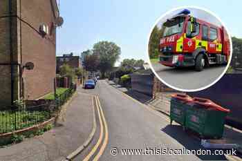 Man, woman and cat rescued from flat fire in Plaistow