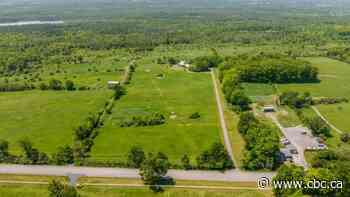 Ottawa-area man's airstrip plan gets turbulent response