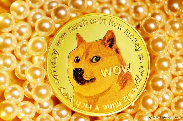 Dogecoin Plunges 7% As Whales Make Large Moves