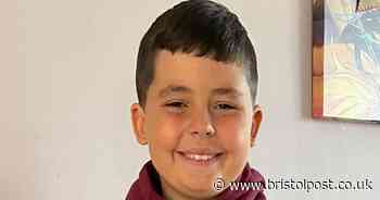 'I lost my son in a dog attack - we have to make sure it never happens again'