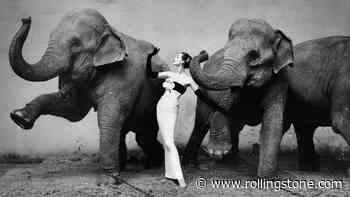 The Enduring Cool of Richard Avedon
