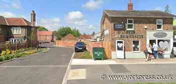 Pout Cosmetics Ltd on Tadcaster Road seeks house and extension