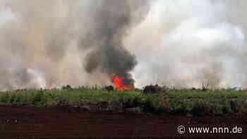 Feuerwehr-Großaufgebot kämpft im Göldenitzer Moor gegen Flammeninferno an
