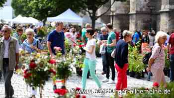 Das ist am Tag der Rose und beim Antikmarkt in Ulm geboten