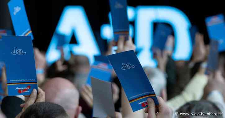 Umfragen: Mehrheit wegen hoher AfD-Werte besorgt