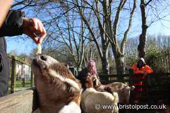 Warning to people heading to farms this summer after infection outbreak