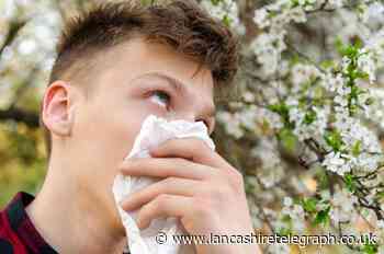 Met Office predicts 'very high' pollen levels this week