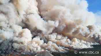 Donnie Creek wildfire is now 2nd largest recorded in B.C.'s history