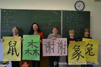 Weser-Gymnasium Vlotho fördert individuelle Bildungswege