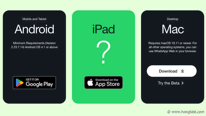 Why Isn’t There a WhatsApp for iPad Yet? (5 Possible Reasons)