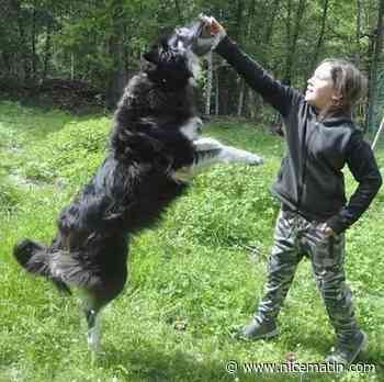 "J'ai vraiment hâte d'y aller avec mon chien": à 11 ans, Manoé va créer un parc canin dans son village de la Côte d'Azur