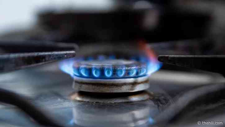 White House says it opposes GOP gas stove bills but stops short of veto threat