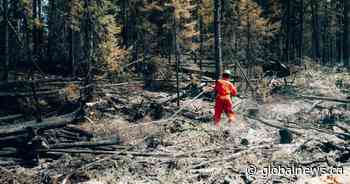 Smoke spreads to large swath of Ontario as forest fires rage in Quebec