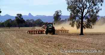 Growers rush to seed ahead of forecast rain