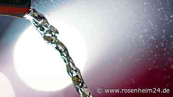 Diskussion über bayerisches Trinkwasser: Kreisversammlung mit Maria Wißmiller