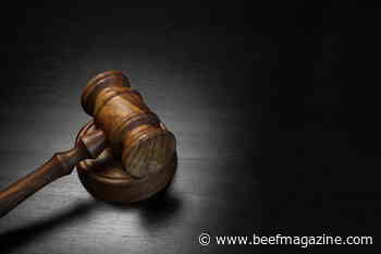 Rancher to pay $1 million penalty for phantom cattle scheme