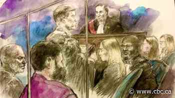 Incel-inspired Toronto massage parlour murder was act of terror, judge rules