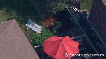 3 people attacked by dog in Burlington, animal shot dead by police