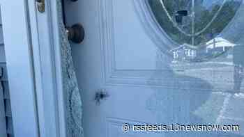 2 women in Norfolk hospitalized after being shot in their homes, police say