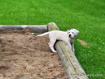 What Google Privacy Sandbox Means to Marketing Data and Analytics Strategy