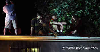 ‘Wet Brain’ Review: A Vodka-Spiked Horror Show