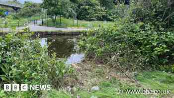 Sheffield driver injured after car plunges into Tinsley Viaduct canal