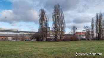 In wenigen Monaten sollen am Rostocker Werftdreieck die ersten Bagger rollen