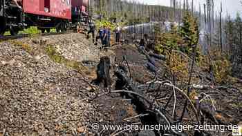 Nachgefragt: Was passiert, wenn es im Harz brennt?