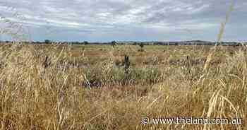 Carbon farmers release data to prove success