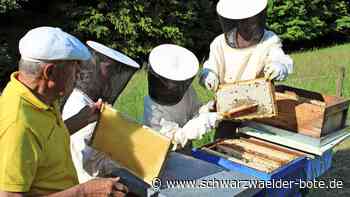 Junge Imkerinnen in Rotensol: Trotz Ausrüstung: Ein Stich ist immer drin